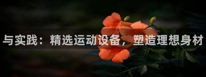 意昂体育4招商电话地址是多少：与实践：精选运动设备，
