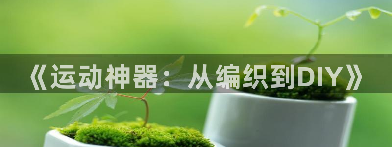 意昂体育4是干嘛的公司：《运动神器：从编织到DIY》