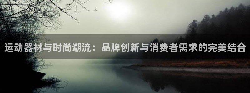 意昂4神州：运动器材与时尚潮流：品牌创新与消费者需求