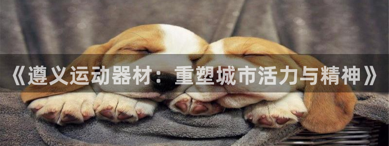 意昂4集团logo：《遵义运动器材：重塑城市活力与精
