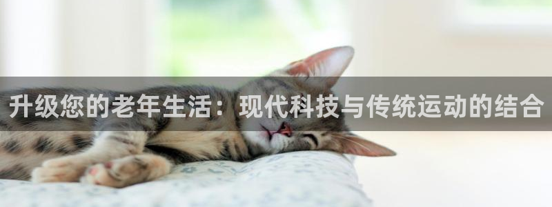 意昂4娱乐下载