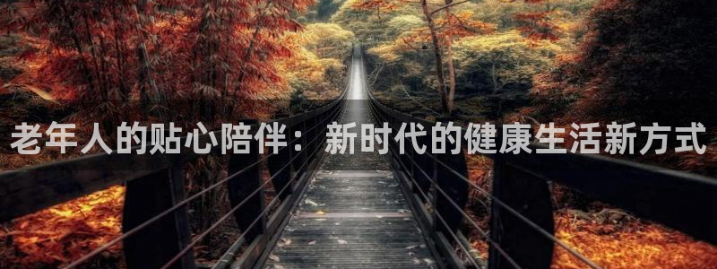意昂4新能源：老年人的贴心陪伴：新时代的健康生活新方