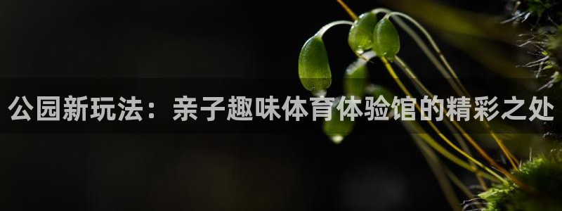 意昂4娱乐首页官网下载：公园新玩法：亲子趣味体育体验