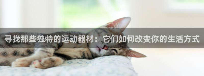 意昂体育4招商电话号码是多少号：寻找那些独特的运动器