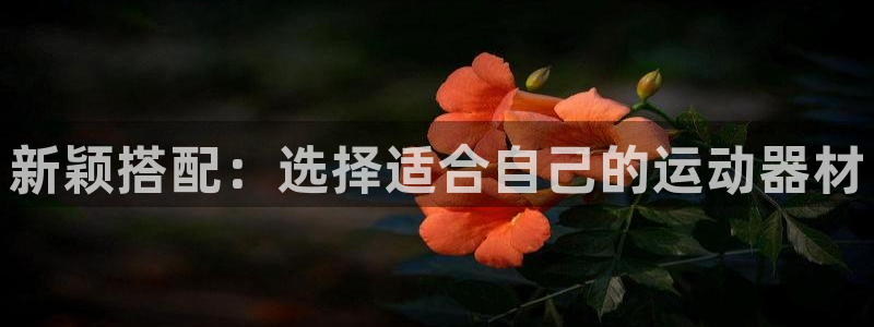 意昂4集团简介：新颖搭配：选择适合自己的运动器材
