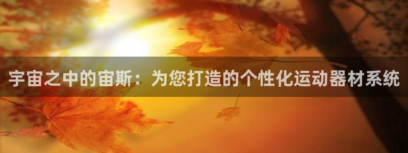 意昂体育4招商：宇宙之中的宙斯：为您打造的个性化运动
