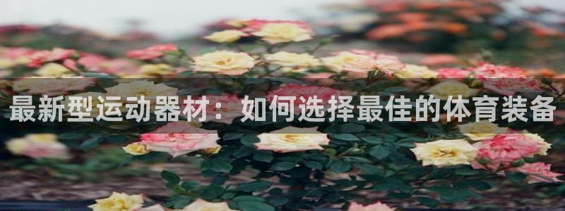 意昂4娱乐网站：最新型运动器材：如何选择最佳的体育装