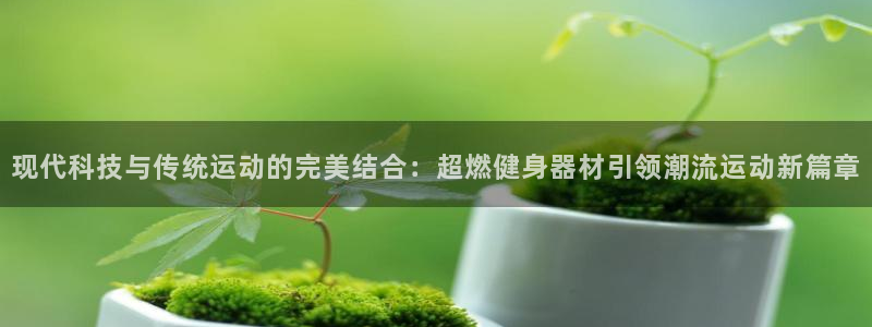 意昂4集团官网首页网址：现代科技与传统运动的完美结合