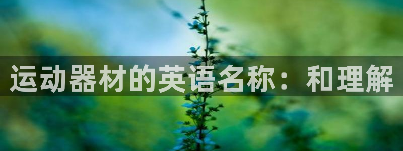意昂体育4联系电话