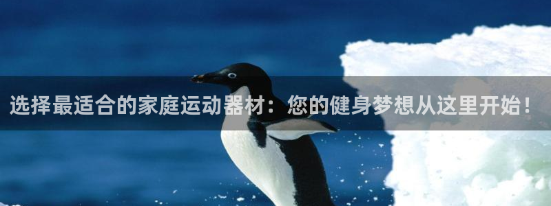 意昂4娱乐下载：选择最适合的家庭运动器材：您的健身梦