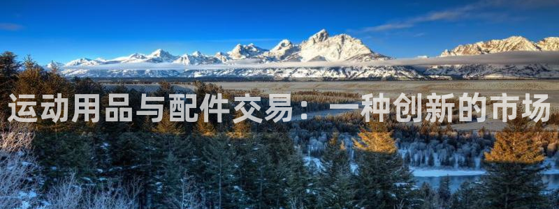 意昂体育4平台注册：运动用品与配件交易：一种创新的市