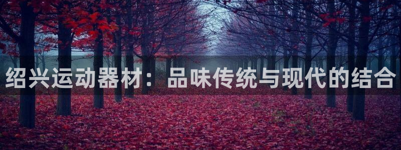 意昂4代理：绍兴运动器材：品味传统与现代的结合