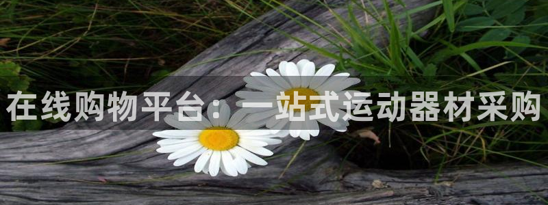 意昂平台体育：在线购物平台：一站式运动器材采购