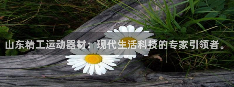 意昂体育4招商电话地址查询：山东精工运动器材：现代生