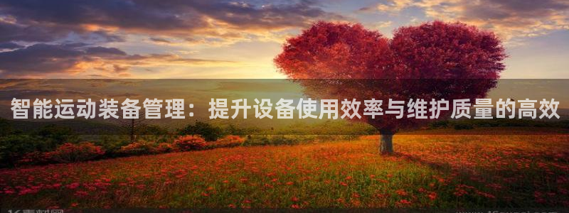 意昂4集团官网首页网址：智能运动装备管理：提升设备使用效率与