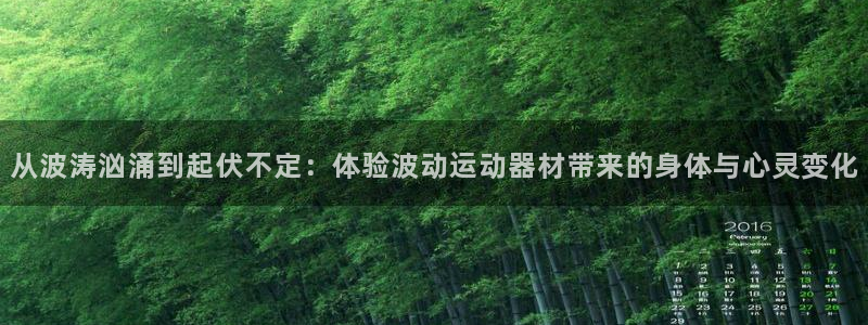 意昂4五金厂：从波涛汹涌到起伏不定：体验波动运动器材带来的身