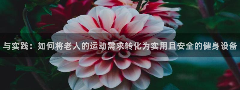 意昂4娱乐网站：与实践：如何将老人的运动需求转化为实用且安全