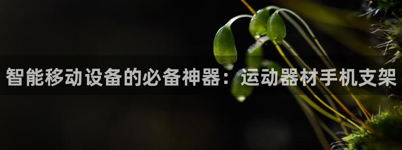 意昂体育4招商电话是多少号码：智能移动设备的必备神器