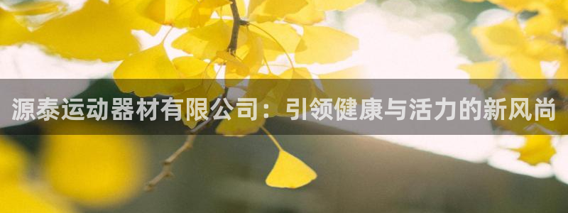 意昂4开户：源泰运动器材有限公司：引领健康与活力的新风尚