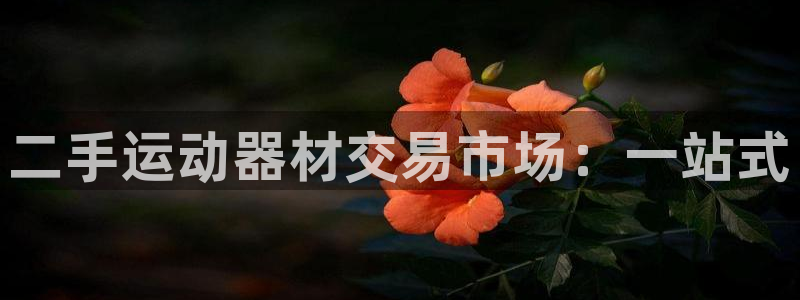 意昂体育4招商电话号码：二手运动器材交易市场：一站式