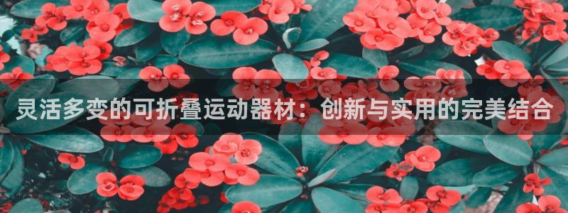 意昂体育4软件