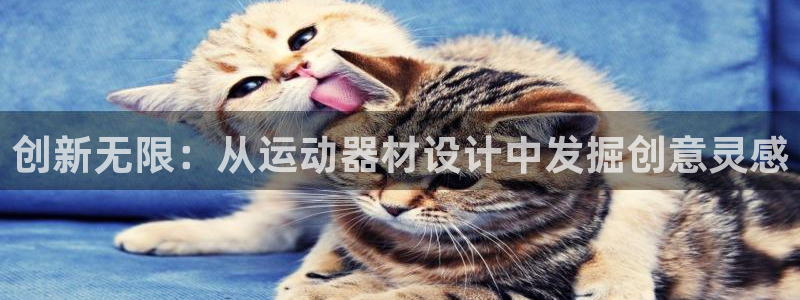 意昂体育4招商电话号码是多少啊：创新无限：从运动器材