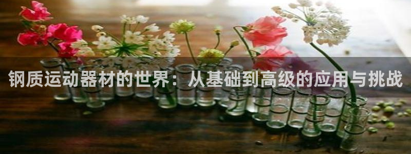 意昂4娱乐代理怎么样：钢质运动器材的世界：从基础到高