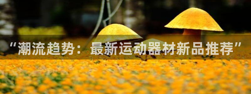 意昂4集团简介：“潮流趋势：最新运动器材新品推荐”