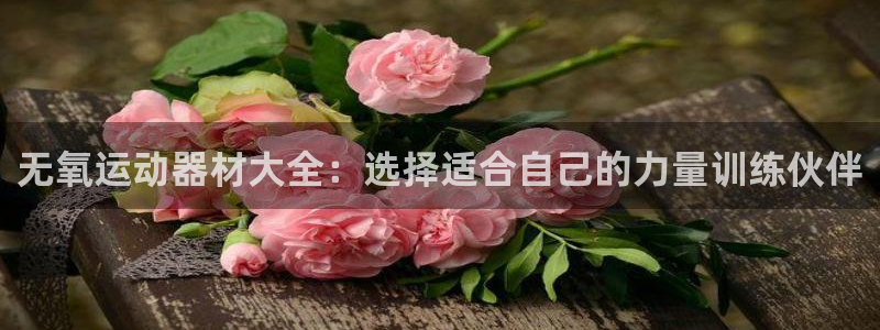 意昂4神州：无氧运动器材大全：选择适合自己的力量训练