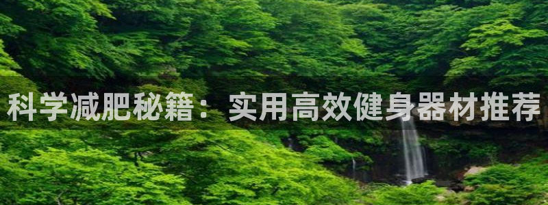 意昂4集团：科学减肥秘籍：实用高效健身器材推荐