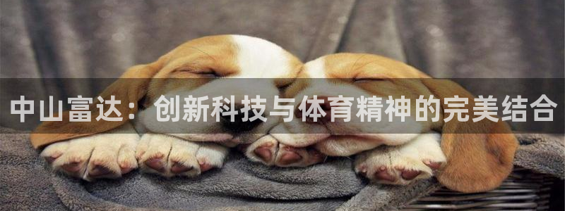 意昂体育4平台假的吗是真的吗吗：中山富达：创新科技与