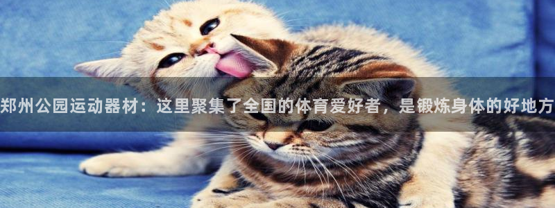 意昂4集团E.ON：郑州公园运动器材：这里聚集了全国