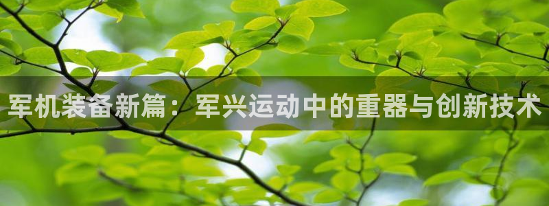 意昂4娱乐平台：军机装备新篇：军兴运动中的重器与创新