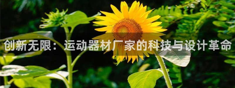 意昂4娱乐40996：创新无限：运动器材厂家的科技与