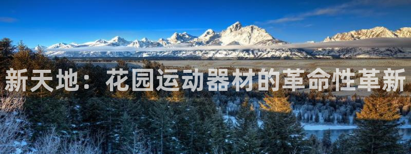 意昂体育4：新天地：花园运动器材的革命性革新