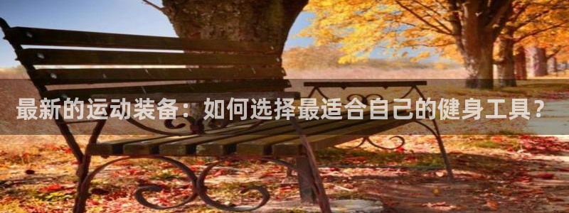 意昂4神州：最新的运动装备：如何选择最适合自己的健身