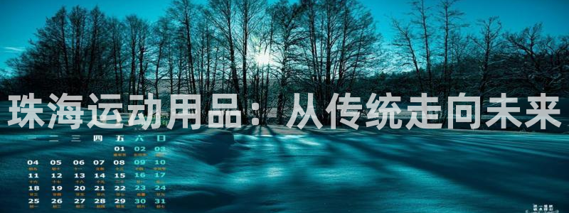 意昂体育4招商电话：珠海运动用品：从传统走向未来