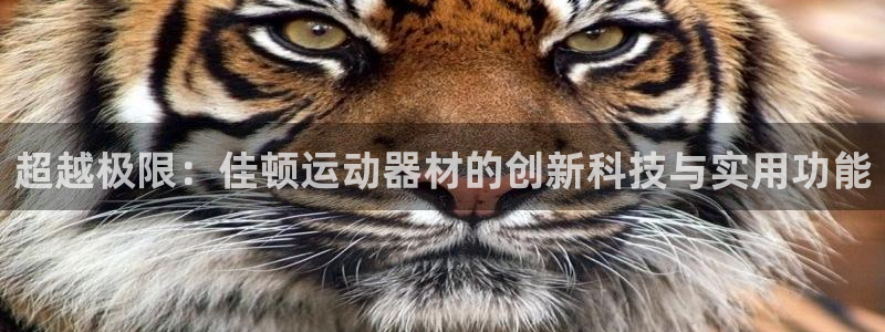 注册意昂4：超越极限：佳顿运动器材的创新科技与实用功