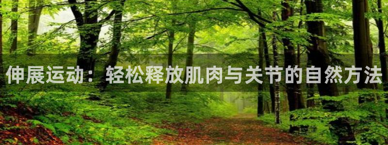 意昂体育4官方客服电话：伸展运动：轻松释放肌肉与关节