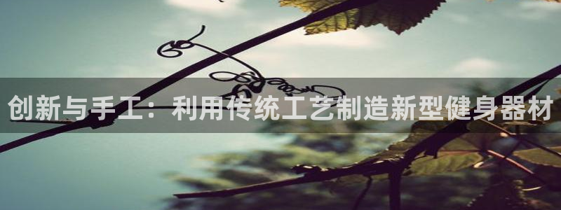 意昂体育4平台APP：创新与手工：利用传统工艺制造新