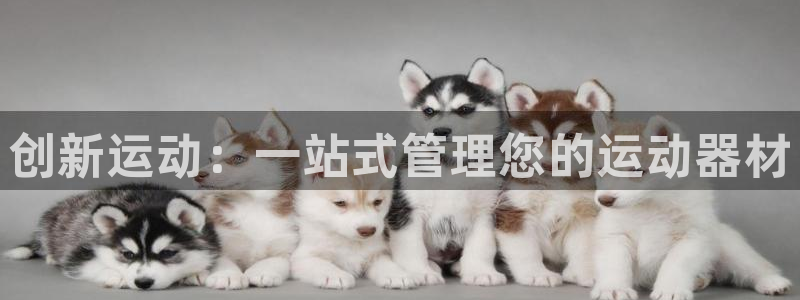 注册意昂4：创新运动：一站式管理您的运动器材