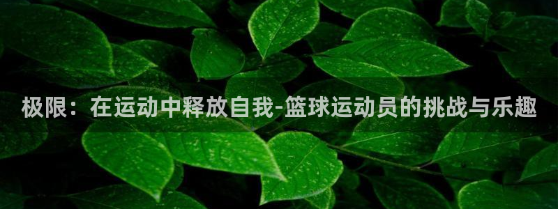 意昂4集团官网首页：极限：在运动中释放自我-篮球运动