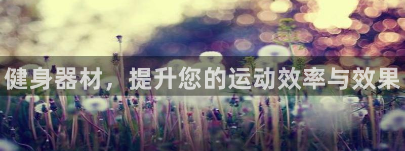 意昂体育4招商电话地址查询：健身器材，提升您的运动效率与效果