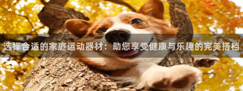 意昂4娱乐网站：选择合适的家庭运动器材：助您享受健康