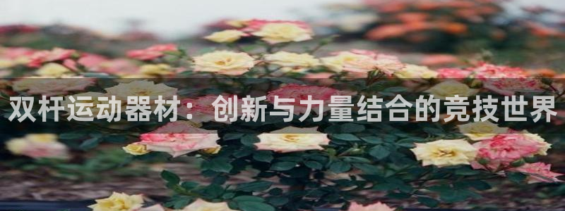 意昂体育4娱乐：双杆运动器材：创新与力量结合的竞技世