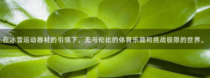 意昂4娱乐平台：在冰雪运动器材的引领下，无与伦比的体