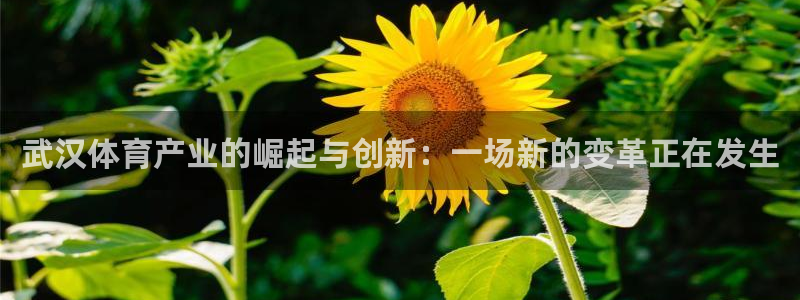 意昂体育4平台假的吗是真的吗吗：武汉体育产业的崛起与