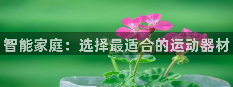 意昂体育4平台APP：智能家庭：选择最适合的运动器材