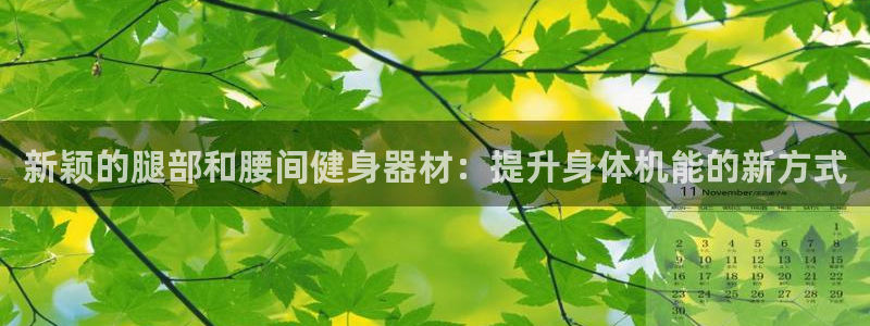 意昂4集团logo：新颖的腿部和腰间健身器材：提升身体机能的