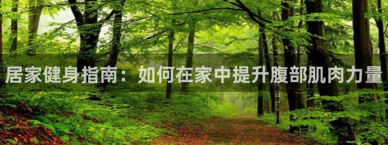 意昂体育4平台假的吗是真的吗：居家健身指南：如何在家